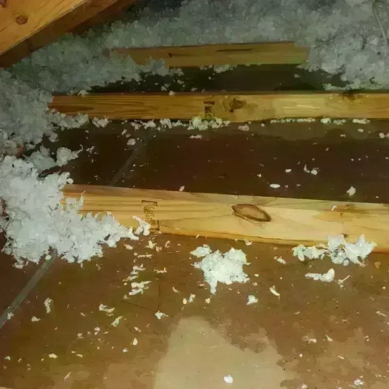 Attic Water Damage in Early, TX