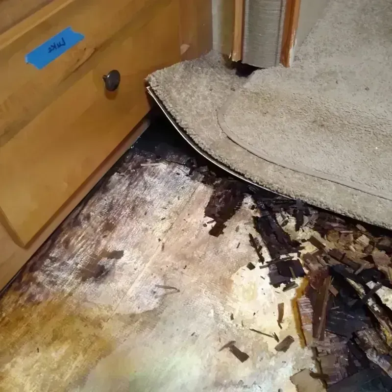 Wood Floor Water Damage in Early, TX